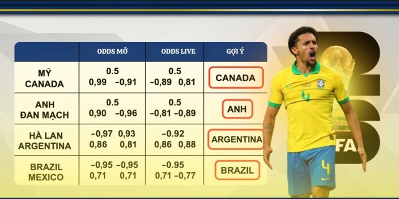 Những câu hỏi thường gặp nhất tại mùa World Cup 2026 